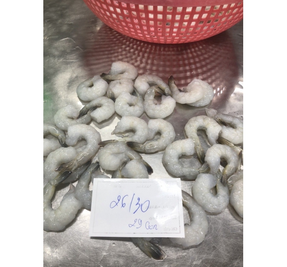 TÔM THẺ CÓ ĐUÔI ĐÔNG LẠNH 